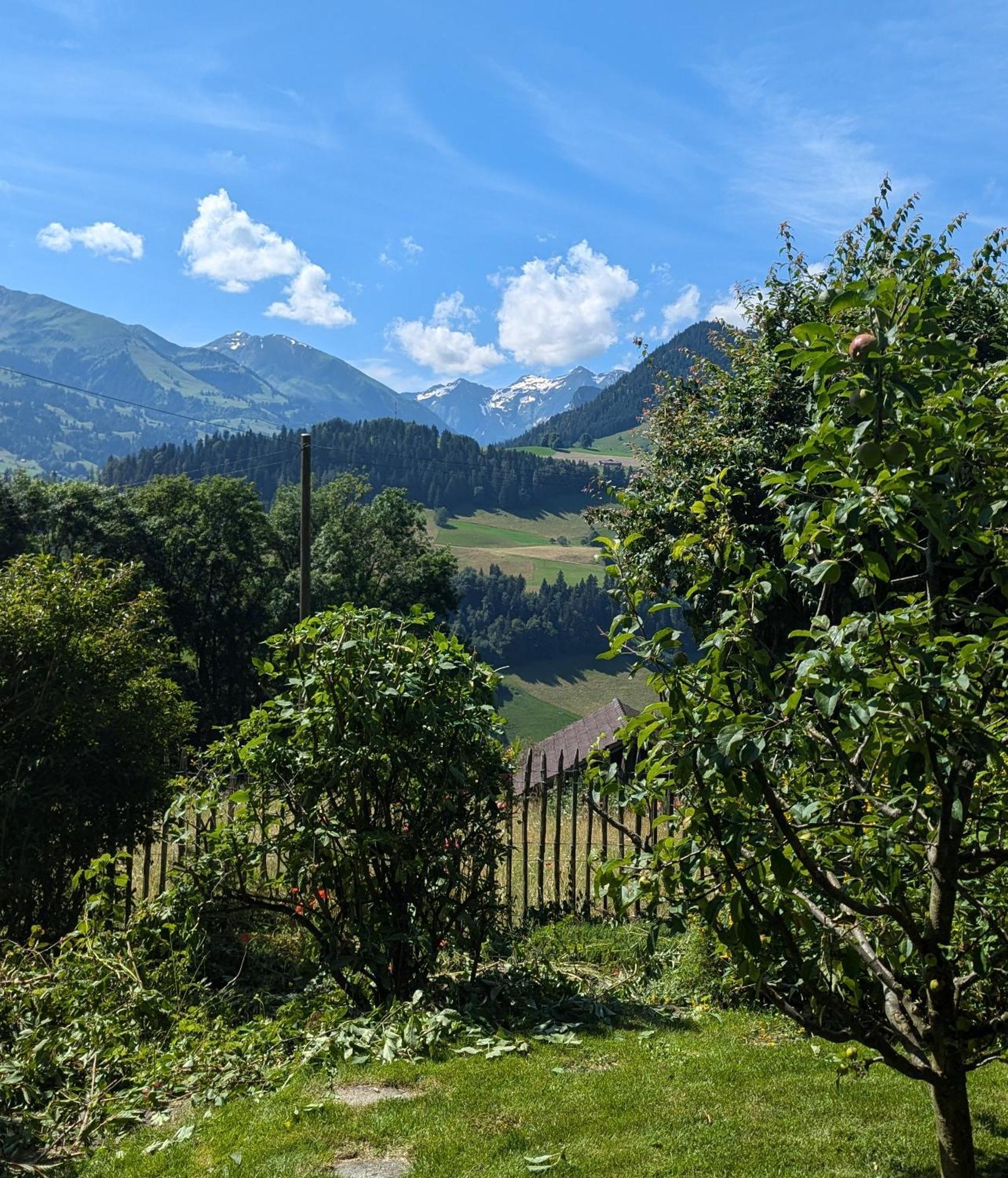 Swiss Mountain-Valley View Lodge Erlenbach im Simmental Eksteriør bilde