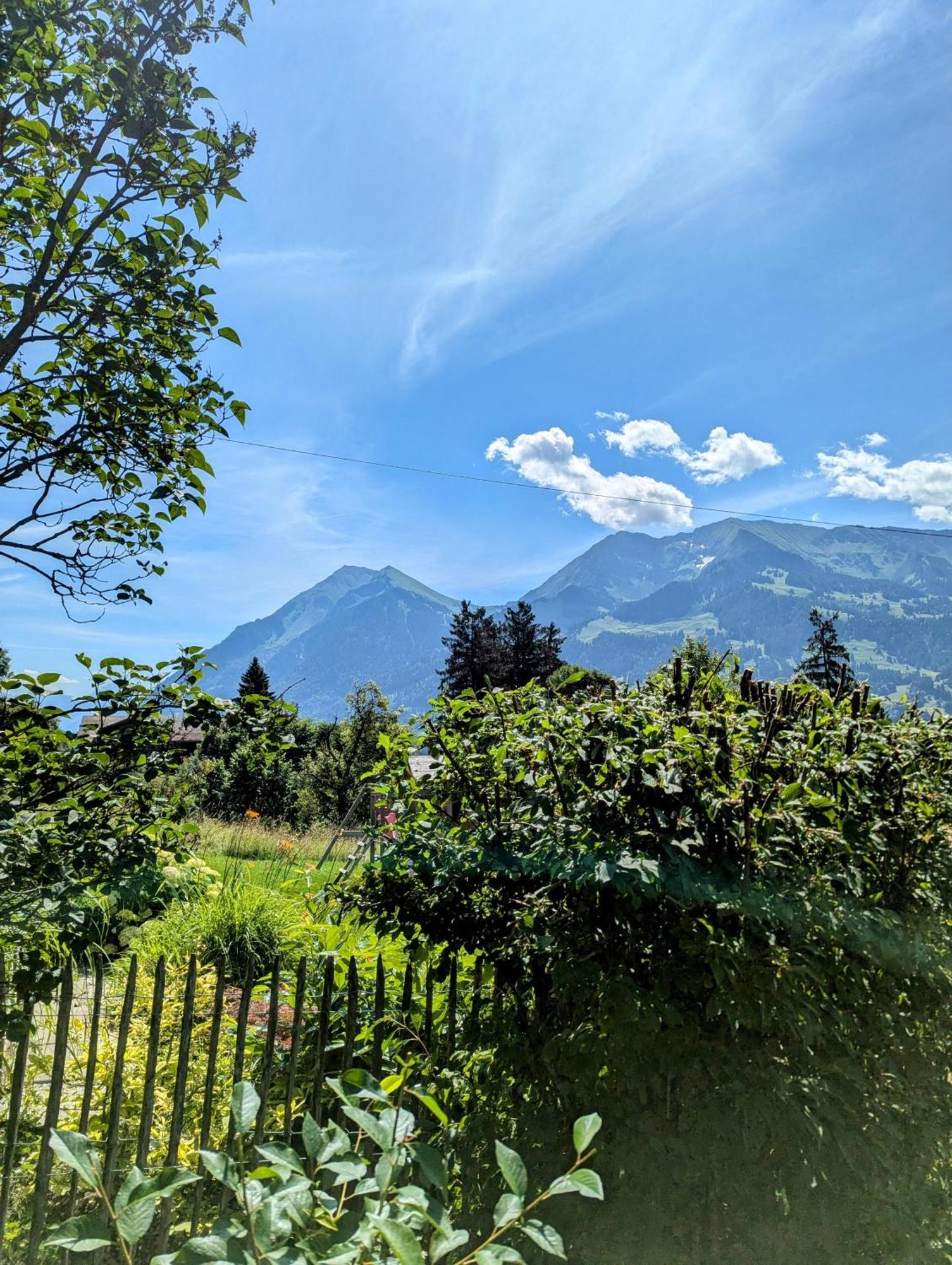 Swiss Mountain-Valley View Lodge Erlenbach im Simmental Eksteriør bilde