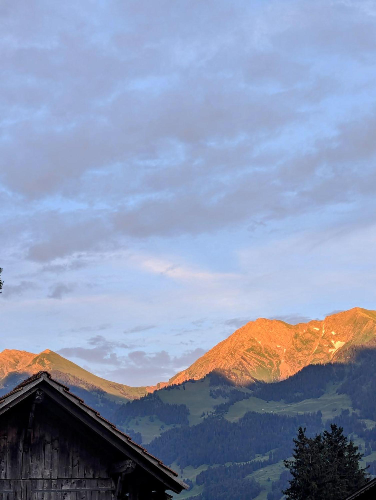 Swiss Mountain-Valley View Lodge Erlenbach im Simmental Eksteriør bilde