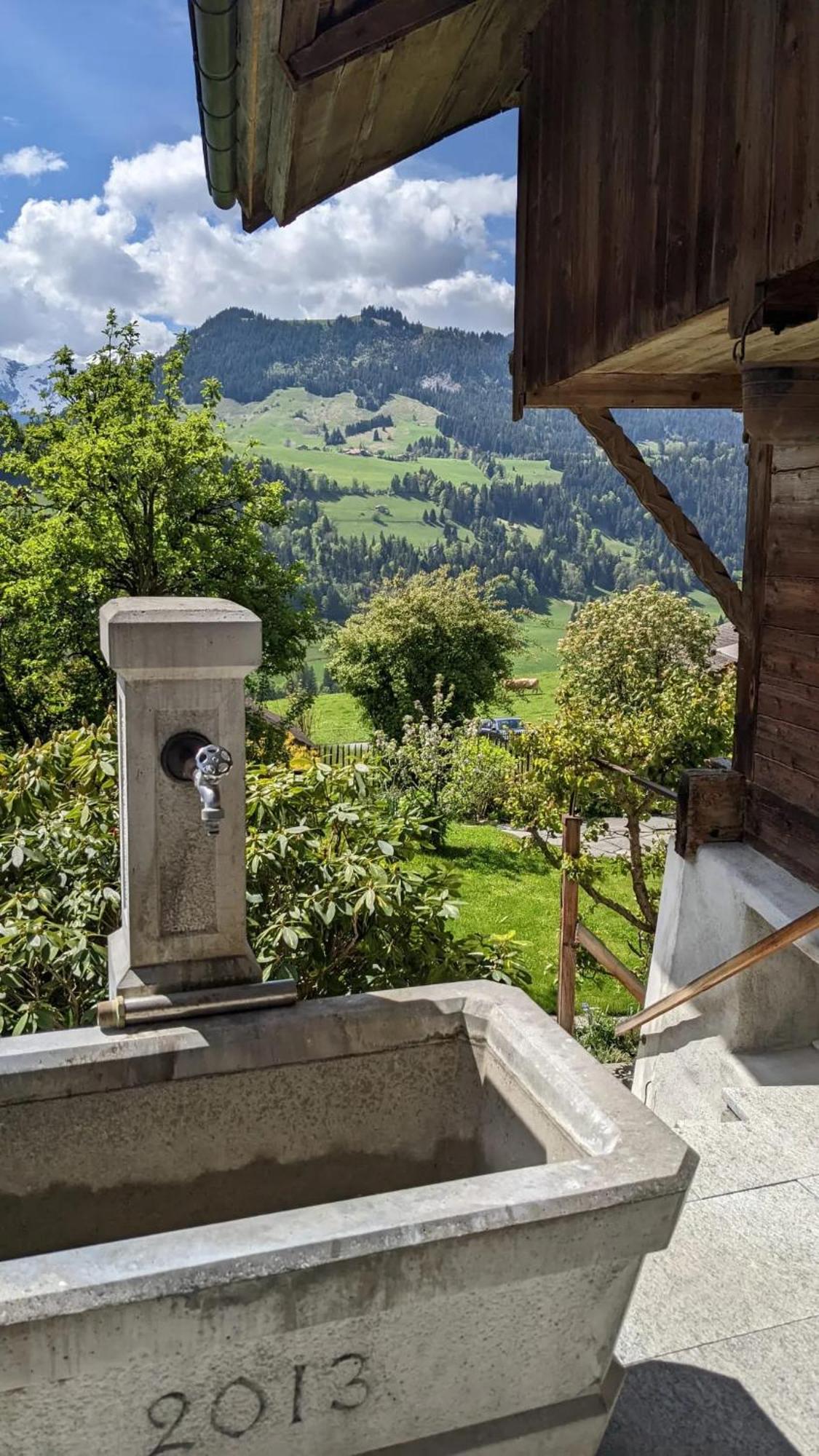 Swiss Mountain-Valley View Lodge Erlenbach im Simmental Eksteriør bilde