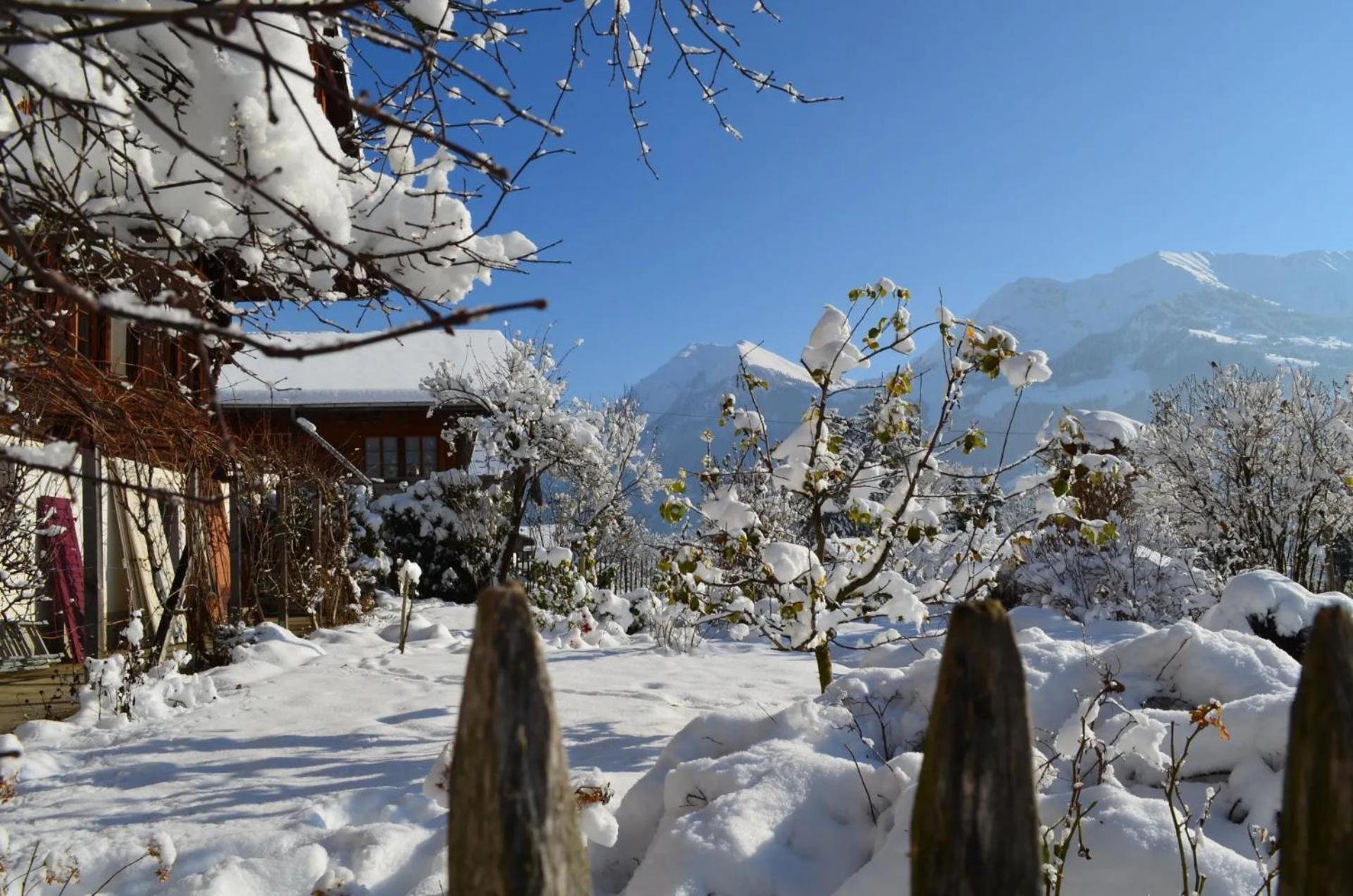 Swiss Mountain-Valley View Lodge Erlenbach im Simmental Eksteriør bilde