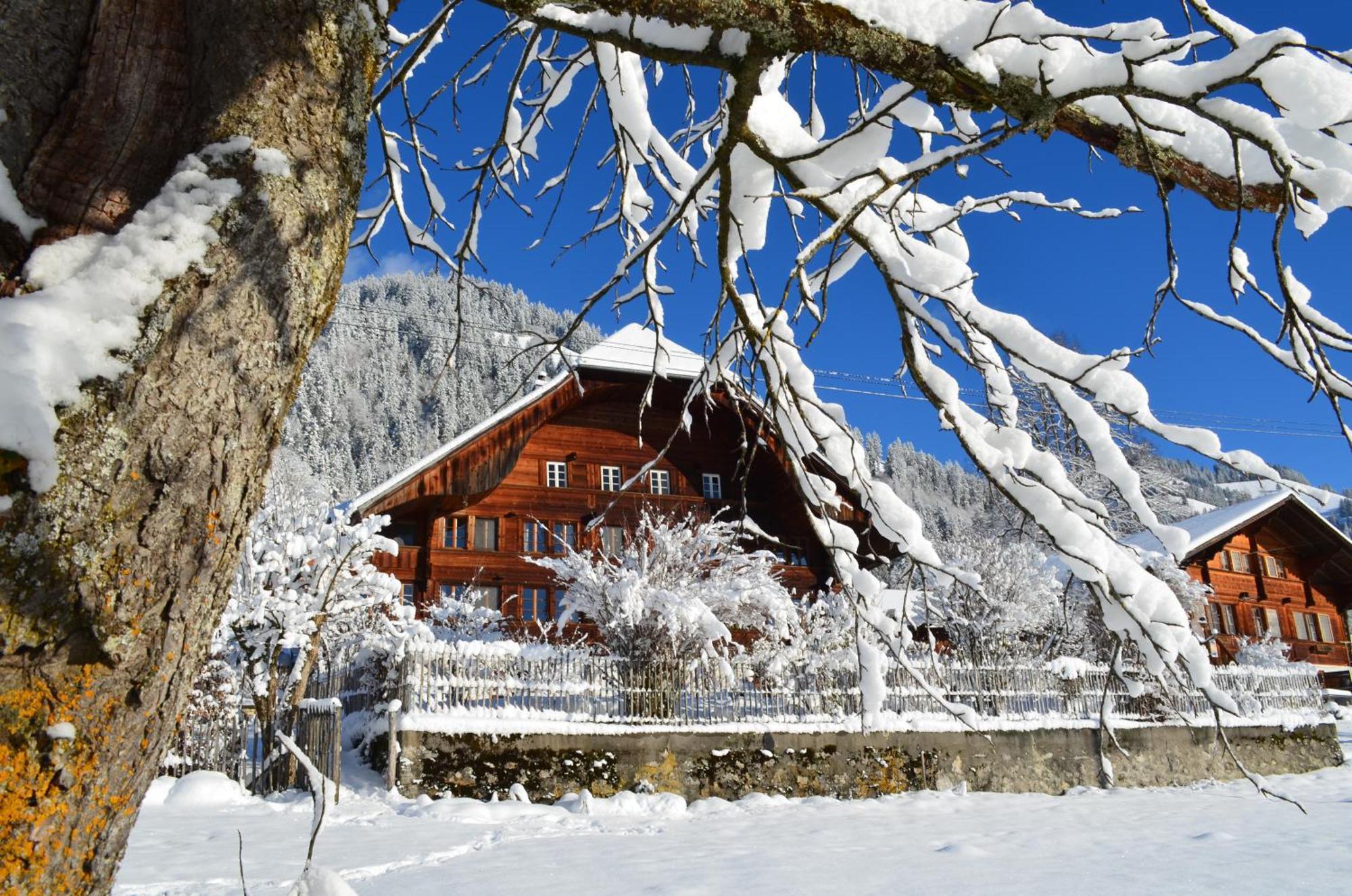 Swiss Mountain-Valley View Lodge Erlenbach im Simmental Eksteriør bilde